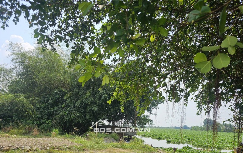 Siêu Phẩm mặt tiền Sông Vàm Cỏ Đông, 600m2 chỉ 1,4ty, mặt tiền sông rộng 15m