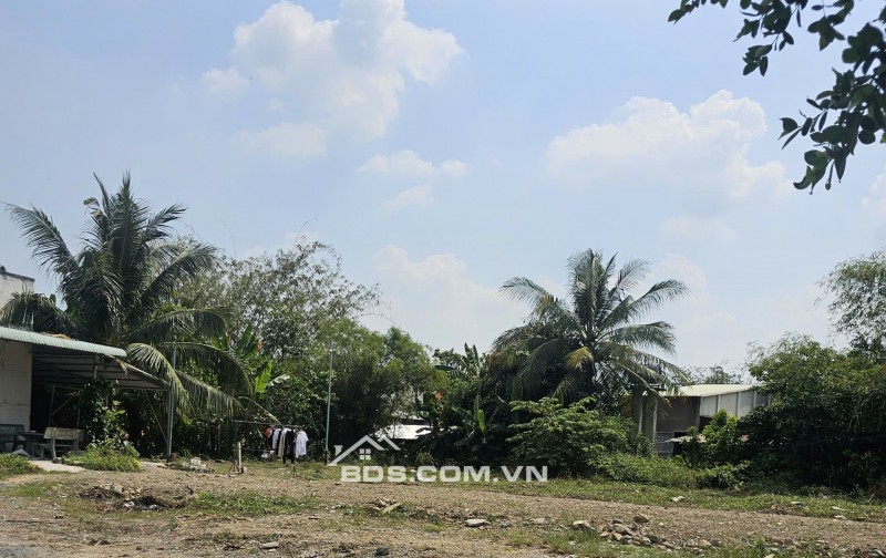 Siêu Phẩm mặt tiền Sông Vàm Cỏ Đông, 600m2 chỉ 1,4ty, mặt tiền sông rộng 15m