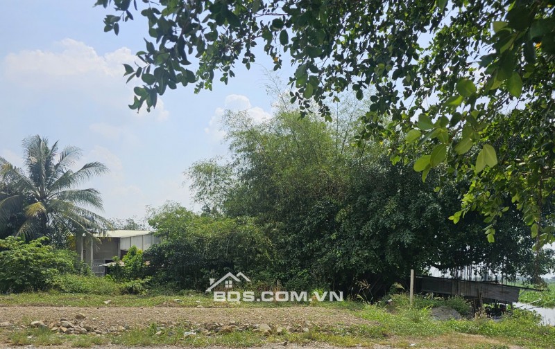 Siêu Phẩm mặt tiền Sông Vàm Cỏ Đông, 600m2 chỉ 1,4ty, mặt tiền sông rộng 15m