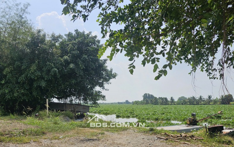 Siêu Phẩm mặt tiền Sông Vàm Cỏ Đông, 600m2 chỉ 1,4ty, mặt tiền sông rộng 15m