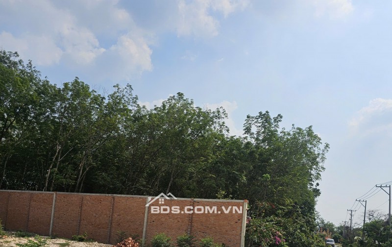 Khu đất đẹp trung tân Trảng Bảng, mặt tiền đường trung tâm 20m, sổ hồng, 650tr