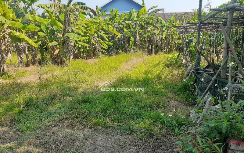 Chính chủ cần bán đất nền tại Huế