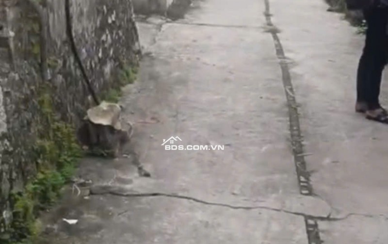 33 tr/m Cần bán lô thổ cư Hoàng Đông -Hoàng Lý – Duy Tiên, Hà Nam Ngay cạnh Cao đẳng FPT