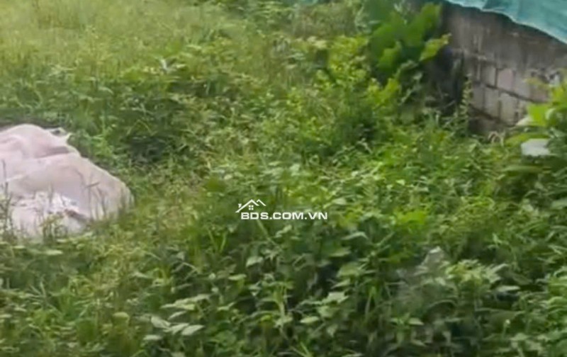 33 tr/m Cần bán lô thổ cư Hoàng Đông -Hoàng Lý – Duy Tiên, Hà Nam Ngay cạnh Cao đẳng FPT