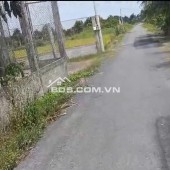 Bán Nhà Vườn 12.000m2, Giá 31 Tỷ, Kênh 12, Xã Lê Minh Xuân Bình Chánh TPHCM