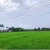 Siêu phẩm - Bán đất mặt tiền đường DT 827B, Châu Thành, Long An, DT 4.000m2, giá đầu tư
