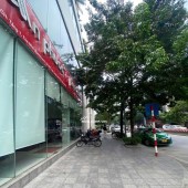 Lô Góc Mặt Phố Lạc Long Quân Mặt Tiền 8M Lô Góc 3 Mặt Thoáng 65 Tỷ