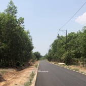 THANH LÝ LÔ ĐẤT 20*100*100 THỔ CƯ DH 715 DÂN ĐÔNG GIÁ 2TY450 CÓ LỘC