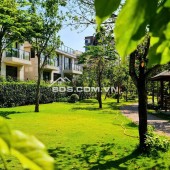 Biệt Thự Hạng Sang The Mizuki - Chiết Khấu Khủng 6.9 Tỷ - Nhận Nhà 11/2026