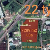 Bán gấp lô đất lúa chuyển thổ đường Vành Đai Tân An giá 22 tỷ
