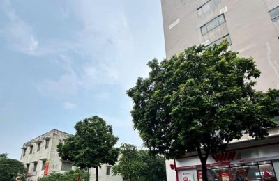 BÁN NHANH căn hộ N3 Nguyễn Công Trứ, Đường Nguyễn Công Trứ, Phường HBT, HN