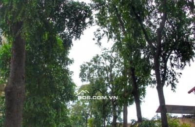 LÔ GÓC 3 THOÁNG_THANG MÁY_43M2_6 NGỦ_TRUNG TÂM LÒ ĐÚC – HAI BÀ TRƯNG_CHỈ 12 TỶ