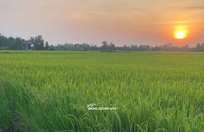 Bán đất nông nghiệp 5311m2 tại đường Bà Miêu, Tân Nhựt, Bình Chánh