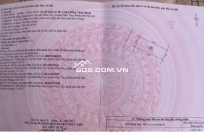  CHỈ HƠN 5x TR.IỆU/M² – CƠ HỘI HIẾM TẠI TRUNG TÂM PHÚC THỌ 