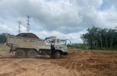 Cho thuê đất trống CLN tại xã An Long, TP. HCM, diện tích 4,5ha giảm từ 20 triệu còn 10 triệu/tháng