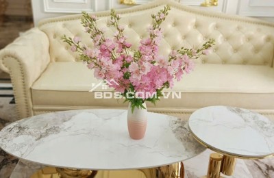 Bán Nhà Ô TÔ Vào Nhà, Kinh Doanh, Nguyễn Đức Cảnh 61m, 7 tầng, mt 4m, giá  24.5 tỷ.