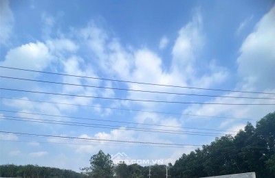 Chính chủ cần tiền bán gấp lô đất siêu đẹp 250m2 tại Tp. HCM mới, giá đầu tư