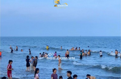 Quất Lâm vào sóng – Sở hữu đất ngay trước khi giá bật tăng!