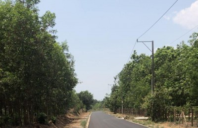 THANH LÝ LÔ ĐẤT 20*100*100 THỔ CƯ DH 715 DÂN ĐÔNG GIÁ 2TY450 CÓ LỘC