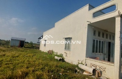 CƠ HỘI VÀNG: SỞ HỮU 1,8 HÉCTA ĐẤT THỦY SẢN – TẶNG NGAY NHÀ KIÊN CỐ FULL NỘI THẤT