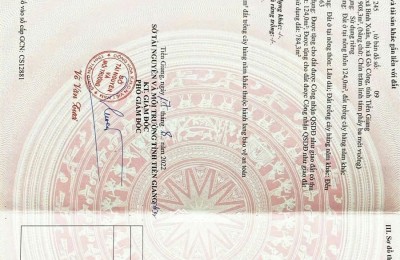 Kẹt Tiền Bán Gấp Lô Đất Mặt Tiền Đường ĐH20, 530m2, Giá 7,5 tỷ. LH: 0902.582.938