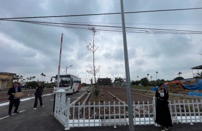 An lão hải phòng