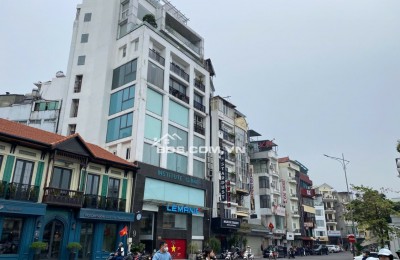 Vị Trí Qúa Đẹp Mặt Phố Nguyễn Thái Học 7 Tầng Thang Máy 98 Tỷ Sát Phố Cổ