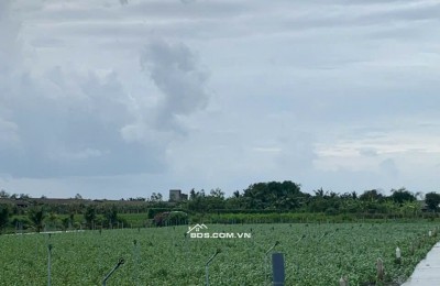 Bán gấp đất nền thổ cư Bà Lẫy Sổ sẵn công chứng ngay