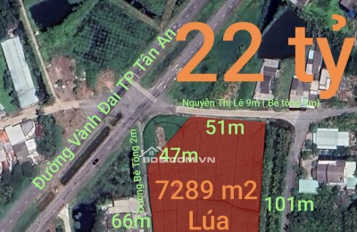 Bán gấp lô đất lúa chuyển thổ đường Vành Đai Tân An giá 22 tỷ