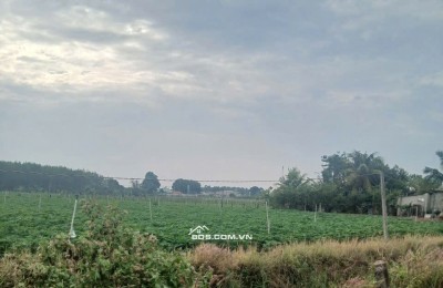 Đất mặt tiền Tân Châu Tây Ninh giá 3.5 tỷ