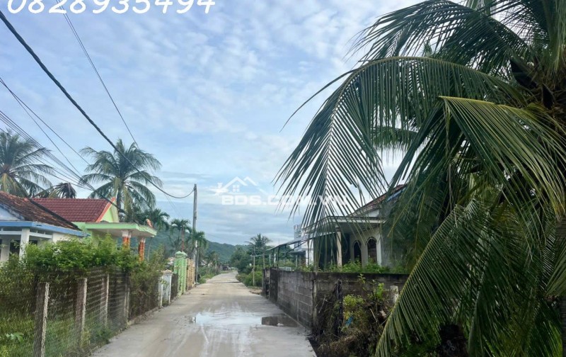 Hàng hiếm tại Phường Ninh Hải, Thị xã Ninh Hòa, Khánh Hòa, DT 254.6 m2, giá đầu tư