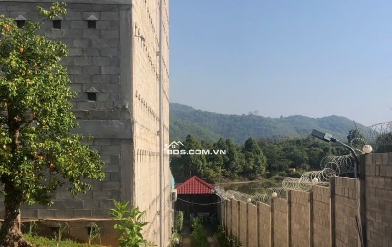 Chính Chủ Bán Nhà Đất Có Sẵn Nhà Yến Diện Tích 1249m² Tại Nam Cát Tiên, Tân Phú, Đồng Nai