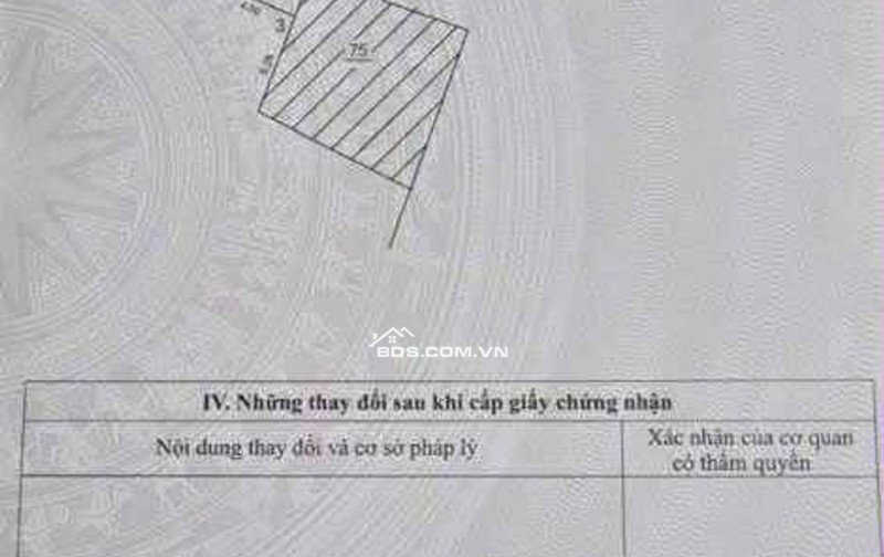 NHANH TAY SỞ HỮU NGAY MẢNH ĐẤT ĐÔNG NGẠC ĐANG PHÁT TRIỂN NHANH CHÓNG MẶT