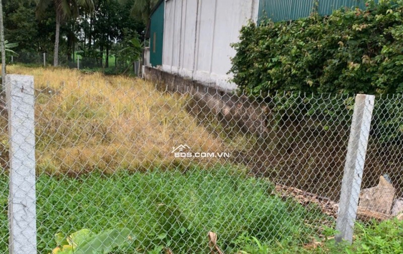 Bán đất nền mặt tiền đường NC - QX giá 1.690 tỷ TL xã Tế Nông huyện Nông Cống cũ