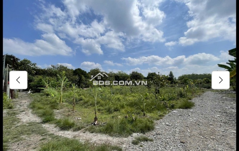 Cho thuê đất MT đường 7m rộng 1 mẫu tại ĐS 812, Xã Phú Mỹ Hưng, Củ Chi