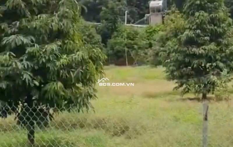 BÁN VƯỜN MÍT TẠI ĐỒNG NAI MỚI DT 5.891M2 SHR CHỈ 50TR/1000M2. LH:0869560747