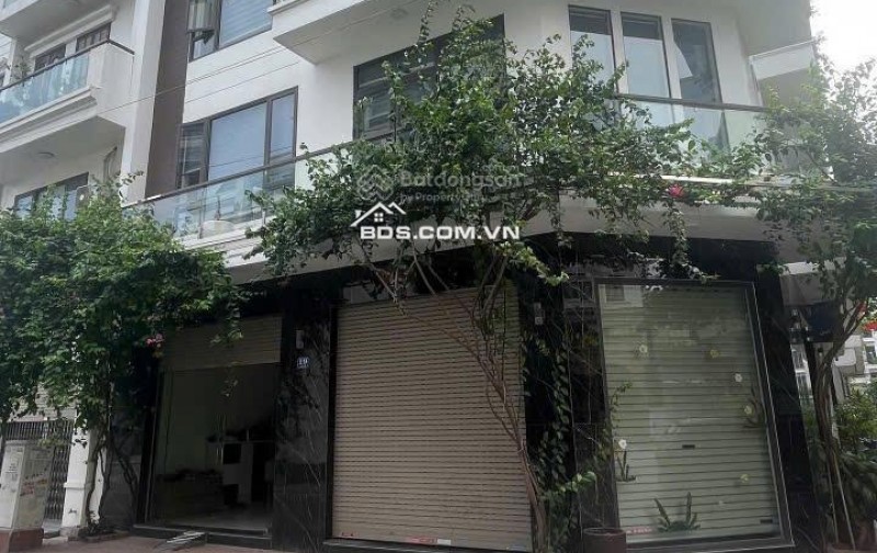 Siêu phẩm 2 mặt tiền Thế Lữ 6 tầng, thang máy, full nội thất, view sông Tam Bạc