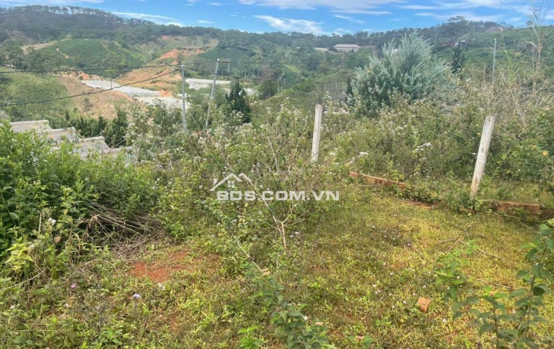 Bán đất manglin tại Phường 7 Tp Đà Lạt (nay là phường Langbiang) diện tích 210m2