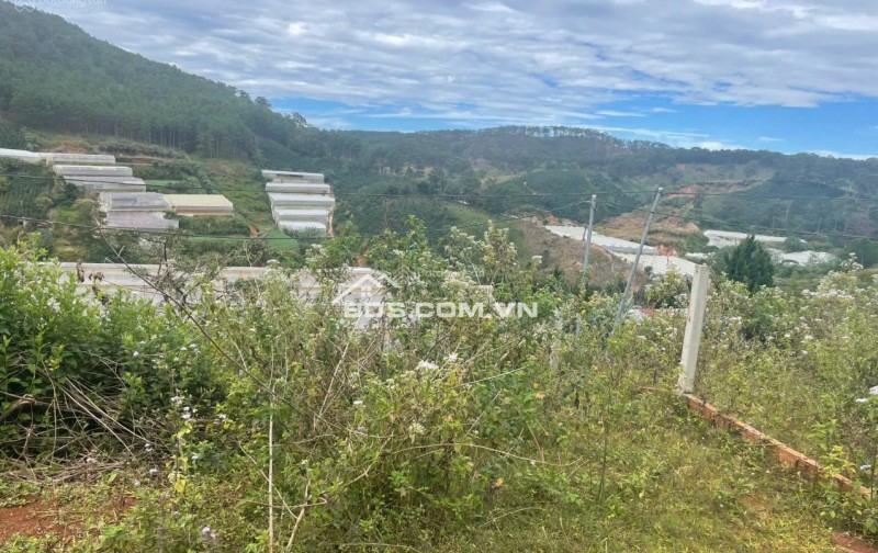 Bán đất manglin tại Phường 7 Tp Đà Lạt (nay là phường Langbiang) diện tích 210m2