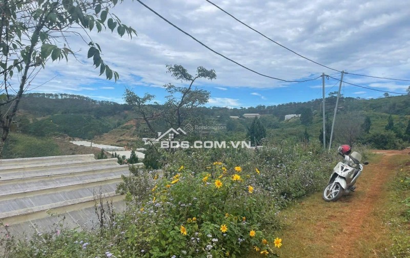 Bán đất manglin tại Phường 7 Tp Đà Lạt (nay là phường Langbiang) diện tích 210m2