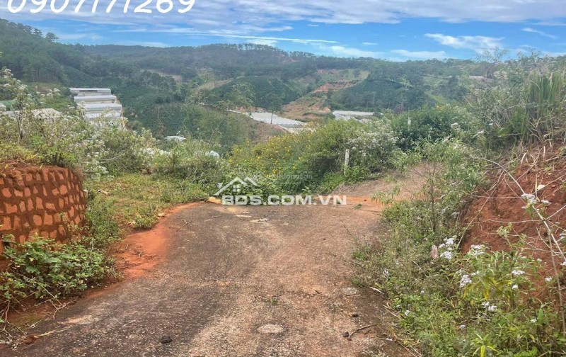 Bán đất manglin tại Phường 7 Tp Đà Lạt (nay là phường Langbiang) diện tích 210m2