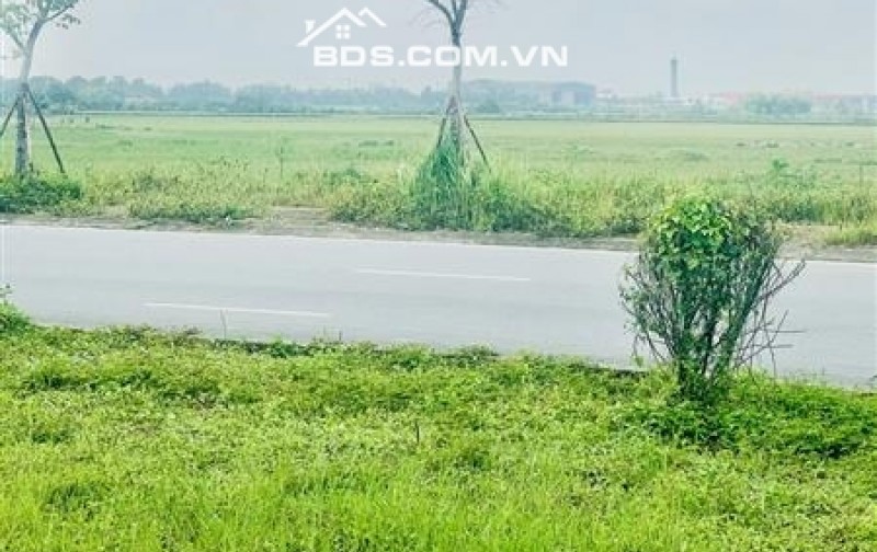 ĐẤT SÓC SƠN - CÁCH ĐƯỜNG VÕ NGUYÊN GIÁP KÉO DÀI 50M - CHỈ VÀI TRĂM M RA SÂN BAY