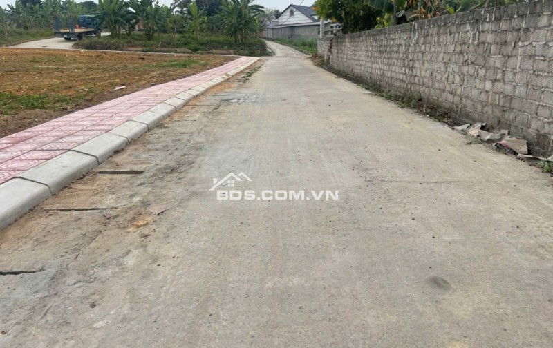 Bán Đất Thôn Cổng Sau, Hướng Đạo, khu công nghiệp Tam Dương 1, Vĩnh Phúc 100m, 800 triệu, xây nhà trọ, nhà ở.