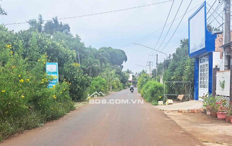 20M MẶT TIỀN ĐƯỜNG NHỰA – GẦN KCN LONG KHÁNH, ĐN, GIÁ CHỈ 980Tr/SỔ