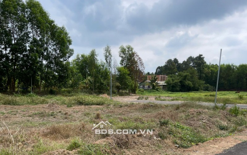 ĐẤT GIANG ĐIỀN – GIÁ CHẠM ĐÁY, SỔ RIÊNG TỪNG NỀN