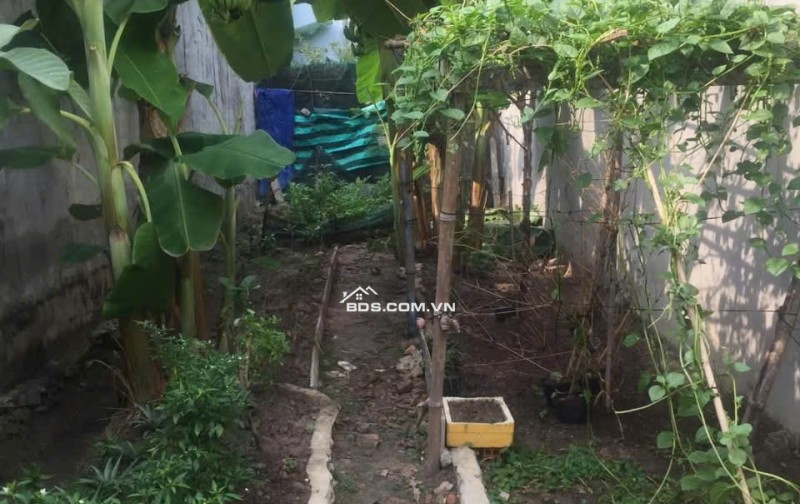 TRỌ! 5 PHÒNG 1 KIOT TÂN AN HỘI CỦ CHI. 200M2, GIÁ BÁN 900TR