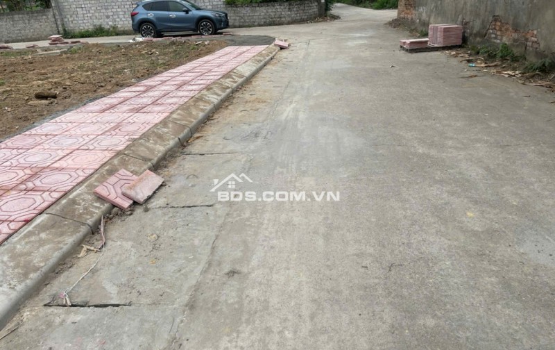 Bán Đất Thôn Cổng Sau, Hướng Đạo, khu công nghiệp Tam Dương 1, Vĩnh Phúc 100m, 800 triệu, xây nhà trọ, nhà ở.