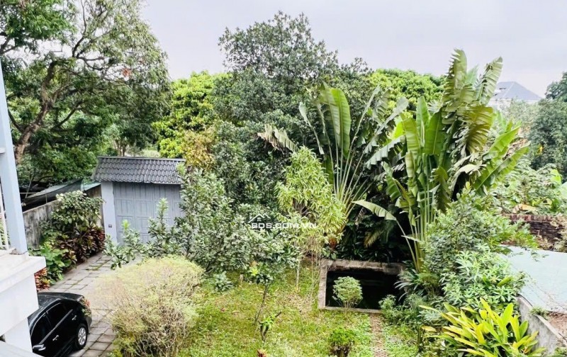 Bán nhà vườn đẹp 514 m2 chính chủ tại Sài Sơn, Quốc Oai, Hà Nội, giá 19,x tỉ