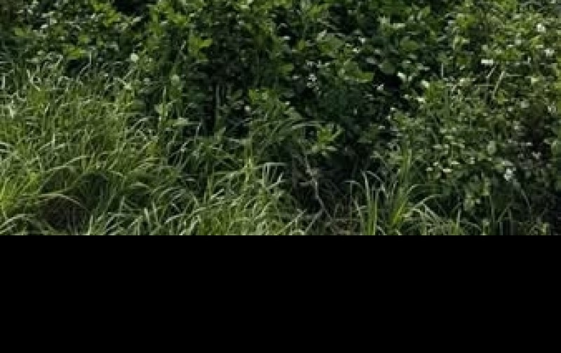 Chính chủ gửi bán lô đất mặt 6,5m view hồ Ngay cạnh KCN Đồng Văn 2 Duy Tiên Hà Nam