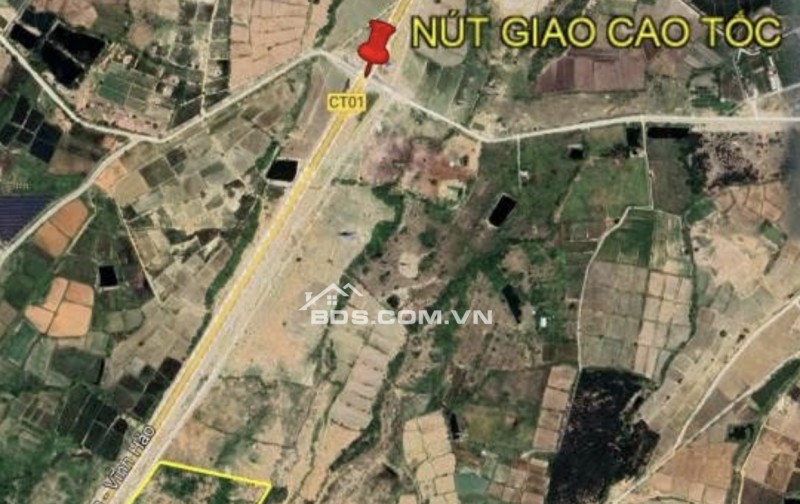 Bán 8,2 ha đất trồng cây lâu năm